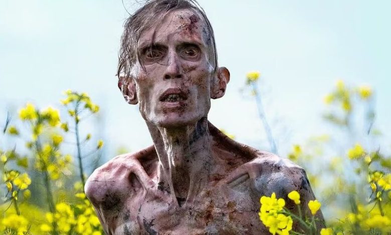 10 Movies You Had No Idea Were Shot On An iPhone