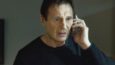 10 Best Liam Neeson Movies, Ranked