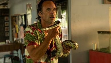 2025 Emmys: These are the episodes every Best Drama Supporting Actor nominee submitted