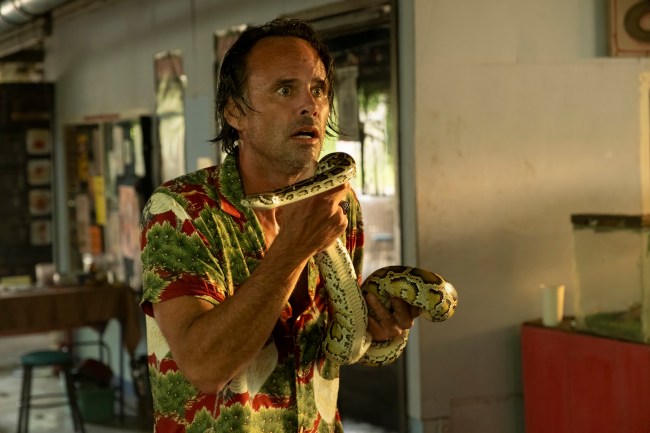 2025 Emmys: These are the episodes every Best Drama Supporting Actor nominee submitted