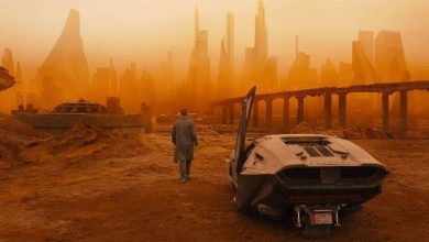 Analogous Colors Explained: Why They’re So Effective in Film