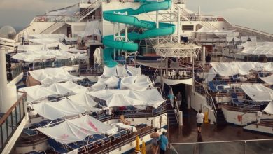 ‘No way we’re changing the title’: ‘Trainwreck: Poop Cruise’ director on creating Netflix smash hit ...