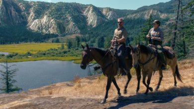 ‘Untamed’ Review: Eric Bana Squanders Grand Terrain in Netflix’s Tedious, Yosemite-Set Mystery