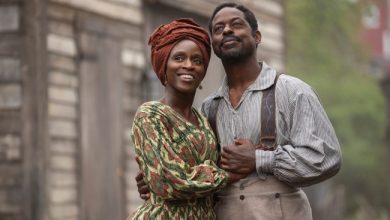 ‘Washington Black’ Review: Sterling K. Brown’s Hulu Adaptation Is a Bumpy but Affable Adventure
