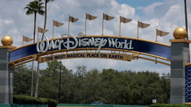 Disney Sees Theme Park & Streaming Profit,  Studio Red Ink In FYQ2 Amid Flurry Of ESPN News