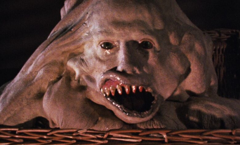 On a Budget of Just $35,000, This Gory Horror Movie Became One of the Wackiest Cult Classics