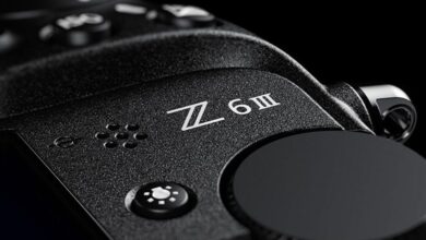 Shooting on Nikon Z6III? This Update Safeguards Your Work From AI
