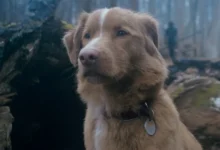 Why Horror Movies About Animals Always Hit a Nerve