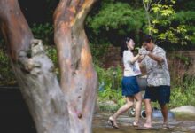 ‘No Other Choice’: What The Critics Are Saying About Park Chan-Wook’s Black Comedy
