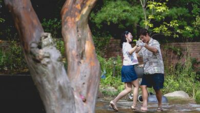‘No Other Choice’: What The Critics Are Saying About Park Chan-Wook’s Black Comedy