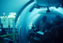 ‘A Life Illuminated’ Review: A Wonderfully Unflashy Documentary About One of the Planet’s Most Fasci...