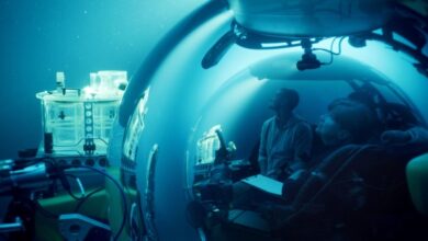 ‘A Life Illuminated’ Review: A Wonderfully Unflashy Documentary About One of the Planet’s Most Fasci...